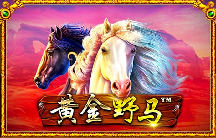 必一体育网页登录版官网