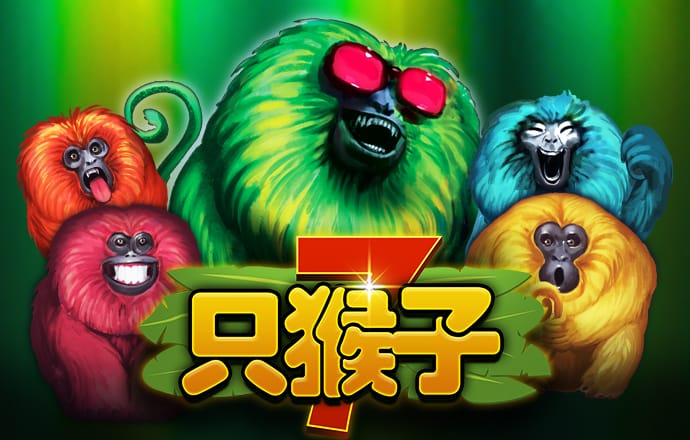 bibo必博体育官方平台入口