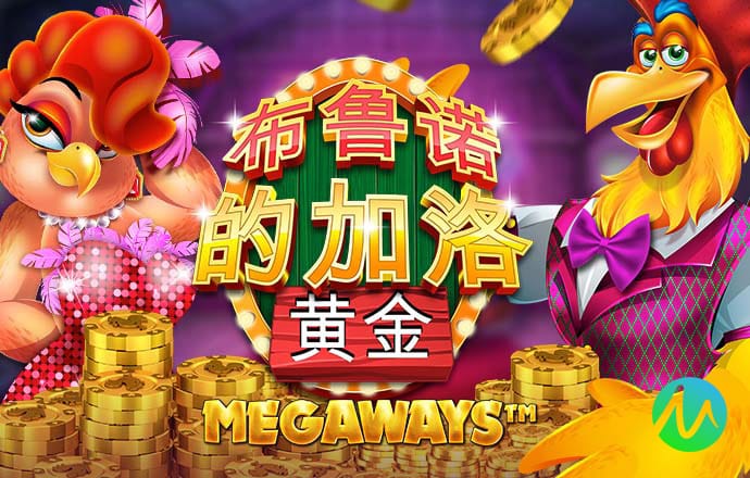 bet九州体育在线登录网站